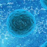 Legionella: un rischio sanitario ed economico che la tua azienda non può ignorare